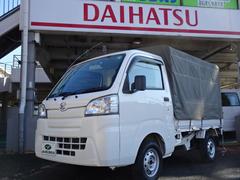 ハイゼットトラック スタンダード 幌付き4ナンバー オートマ ナビ TV バックカメラ ブルートゥース ドラレコ 整備記録簿 ABS エアバック EBD-S500P 中古車画像