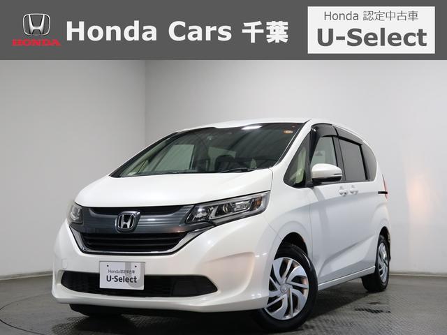 ոԸջͳƻиΤڹµ ǧż֡ե꡼ɥץ饹ʤո⣳Źޥۥդ 1