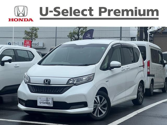 ե꡼ɥϥ֥å ϥ֥åɡǥۥ󥷥󥰡ڸ֥졼ե꡼ƥ 0502381A30251026W001 1