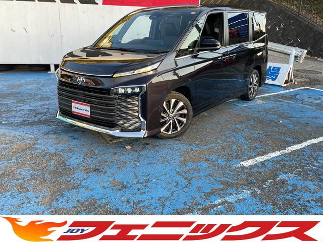 ȥ西  ӡݣڡȥ西եƥ󥹡ʣͭţ̥եåץĥʥӡ̥