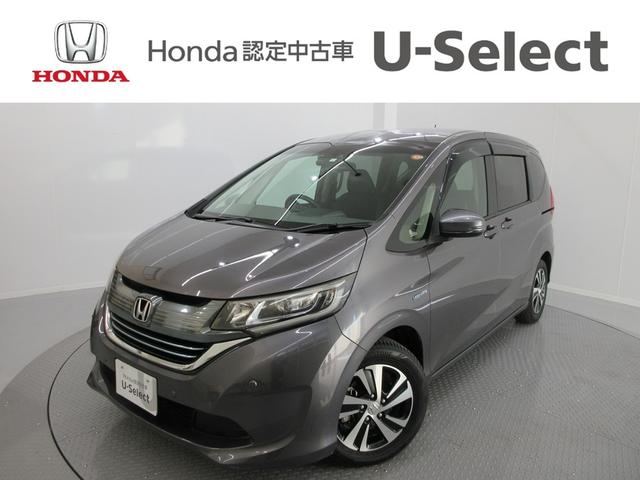 ۥ ե꡼ɥϥ֥å ϥ֥åɡǥۥ󥷥󥰡㥶꡼ʥӡեȥɥ饤֥쥳