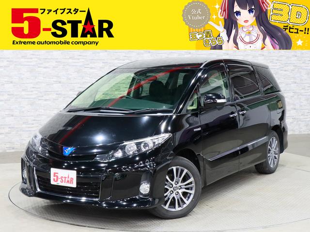 ȥ西 ƥޥϥ֥å 饹ץߥ२ǥ󡡣ףġѥեåץ˥