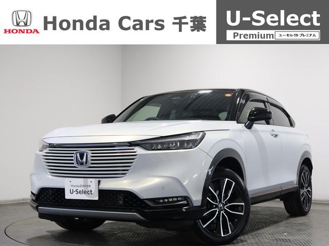 ۥ  塧ȣţ֣У̣١ۥǧż֡Хå顡꡼ʥ