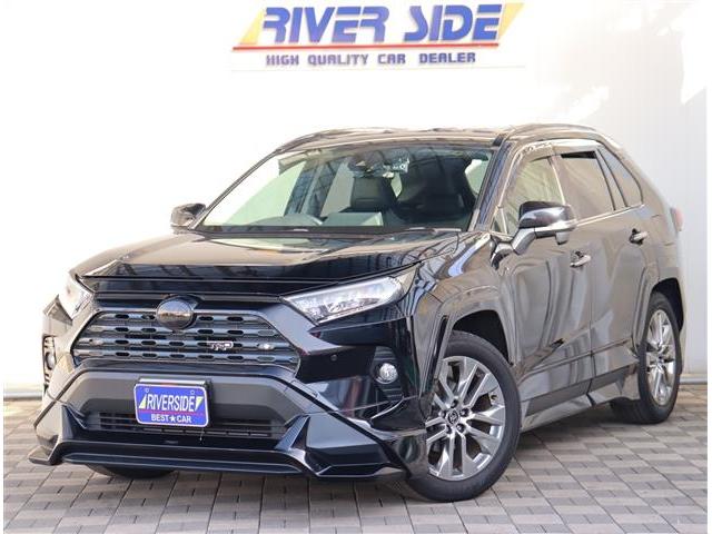 トヨタ ＲＡＶ４ Ｇ　Ｚパッケージ　ＴＲＤエアロ・ガナドールマフラー・車高調・純正９インチナビ・フルセグＴＶＤＶＤ再生可・ブルートゥース接続可・ＥＴＣ・デジタルインナーミラー・パワーバックドア・レーダークルーズ