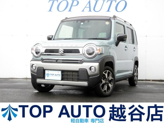  ϥ顼 ʥ륿ܡ̵緿ʥӡ̥˥