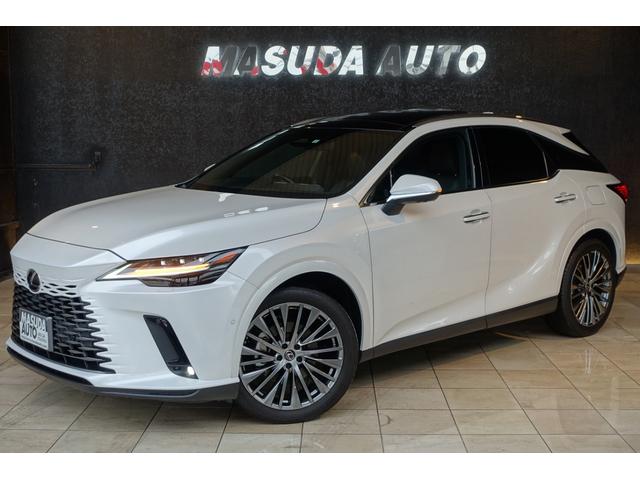 ѥΥޥ롼աޡӥ󥽥󡡴ϻ ռͥҡǥ͡ѥΥߥå֤͡šѥХåɥ 1