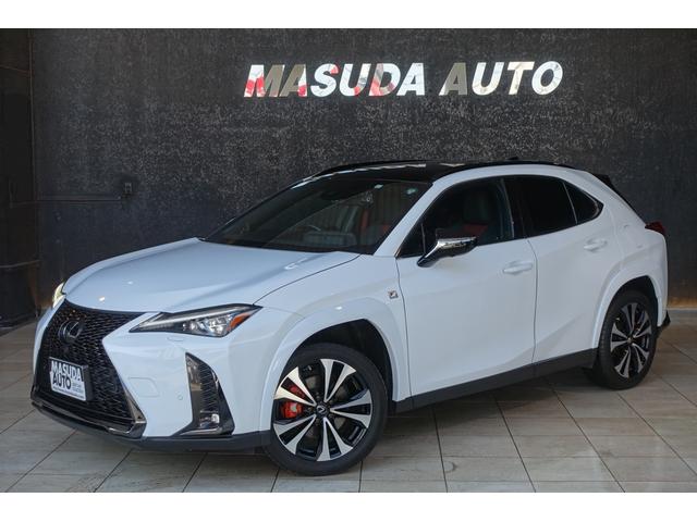 󥸥ѡѥХåɥܳץ ѥΥߥåӥ塼˥ɥ쥳ƥסѥɥ륷եȡ 1