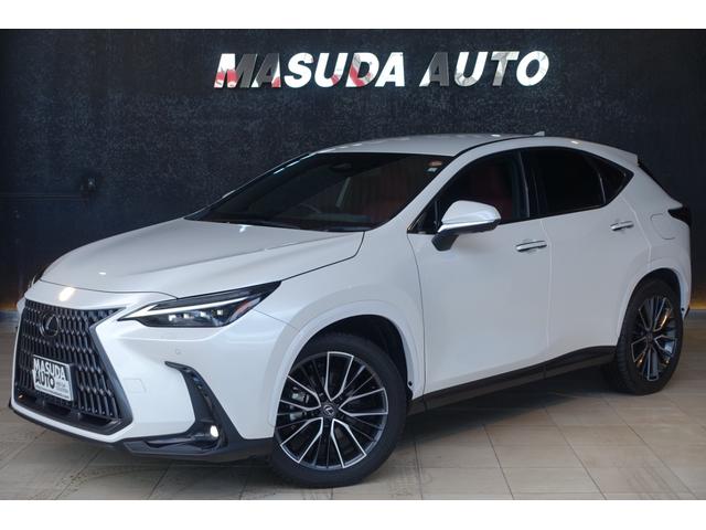 쥯 Σ Σأ衡С̡ǥ͡ã֣