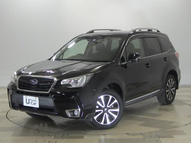 Х ե쥹 أԥȡʥӡţԣạ́ţ