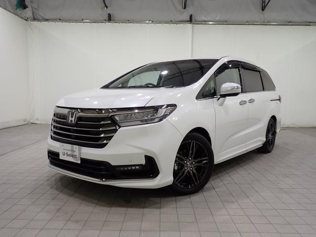 ۥ ǥåϥ֥å 塧ȣţ֥֥롼ȡţءʥӡʥ˥