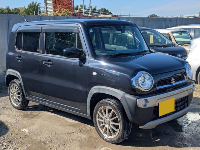  ϥ顼 ǡ롼९꡼˥󥰺ѡ̵ף