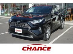 トヨタ　ＲＡＶ４　Ｇ　Ｚパッケージ　純正ナビ　ＴＶ