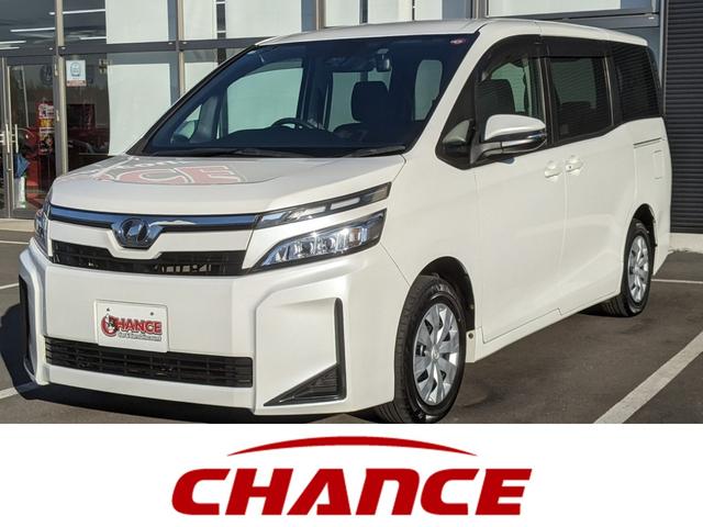 ȥ西  ءʥӡ¥顡ե륻ԣ