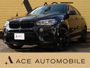 ＢＭＷ Ｘ６ Ｍ ベースグレード　左ハンドル　セレクトＰＫＧ　コ...