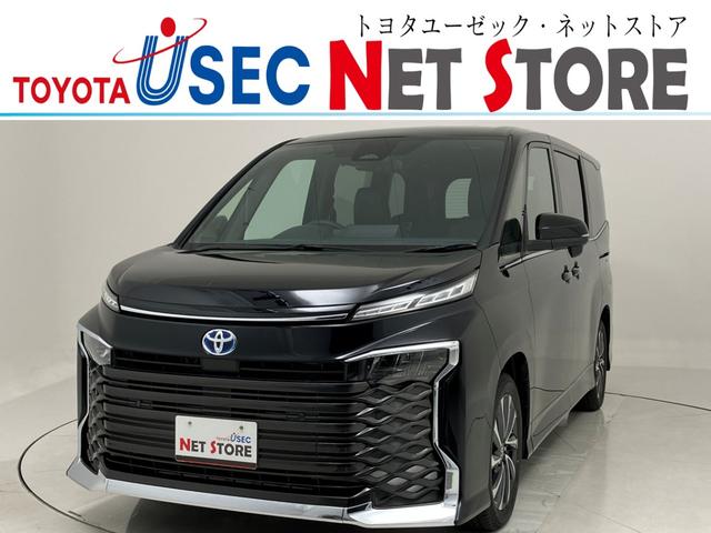 Źͽ ޤϺ̹ŹˤƤǧޤѥ䡼ݴ 1