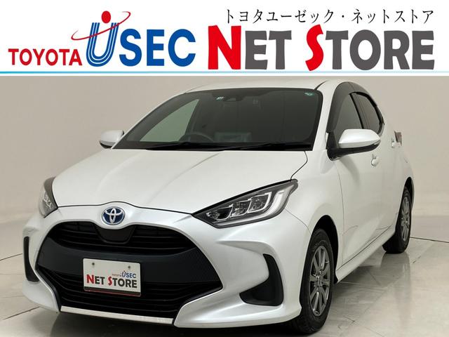 ȥ西 ꥹ ϥ֥åɣǡȥ西եƥ󥹡졼롼ȥ롡ǥץ쥤ǥʥ