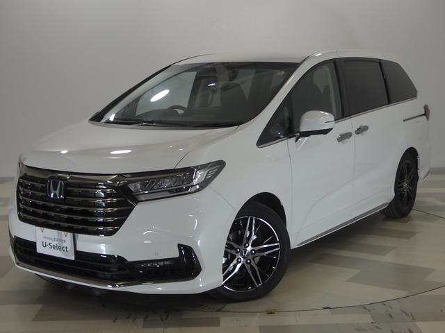 ǥåϥ֥å 塧ȣţ֥֥롼ȡţءر֡ɥ쥳 0503961A30251031W001 1