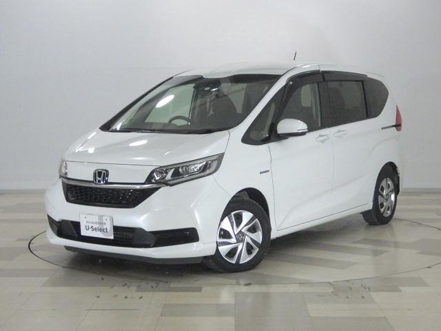 ۥ ե꡼ɥϥ֥å ϥ֥åɡǥۥ󥷥󥰡ر֡ʥ