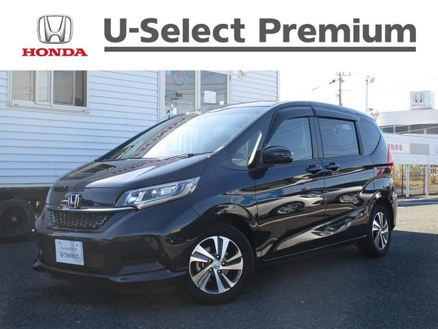 ۥ ե꡼ ǡۥ󥷥󥰡ʥӡХå