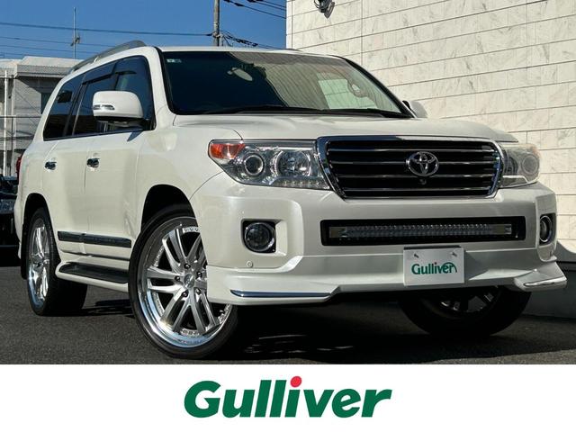 ɥ롼 ڣءر졡åȡףϣңˣ 0504541A30251206W005 1