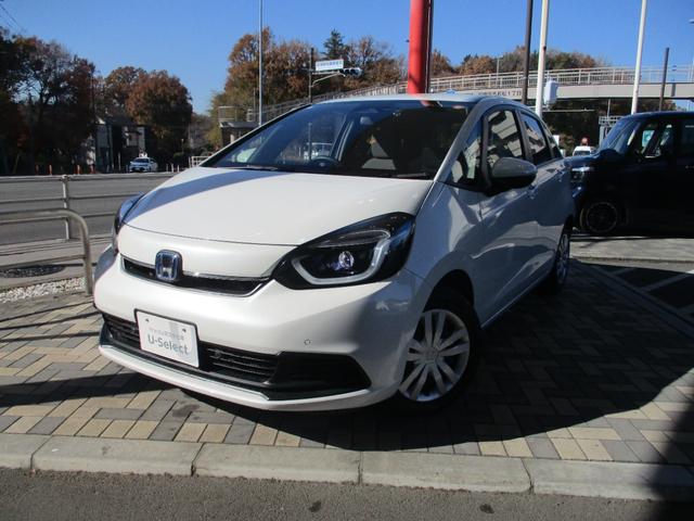 եå 塧ȣţ֥ۡࡡҥǥ⥫ر֡ݾ 0504769A30251201W005 1