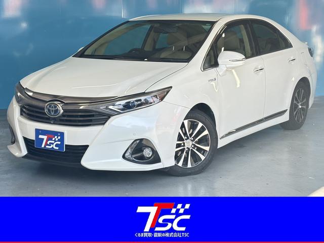 ȥ西 ӣ ǡѥåץꥯå奻եƥ