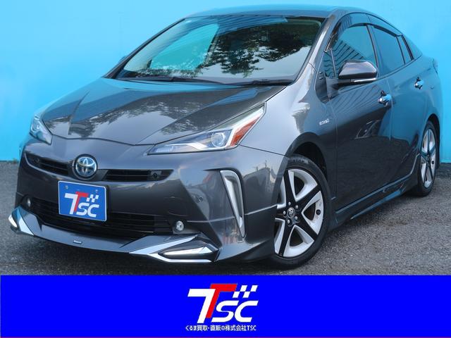 ȥ西 ץꥦ ӥġ󥰥쥯󡡸ǥꥹ˥å롡ƥꥸȥꥢ󥹥ʡ