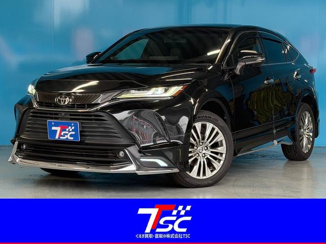 ȥ西 ϥꥢ ڡ쥶ѥåǥꥹե륨ĴѥΥޥ롼