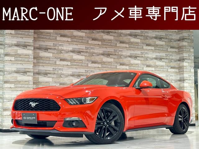 ե ޥ 䡼ǥ󡡣ǯݾաǥ顼