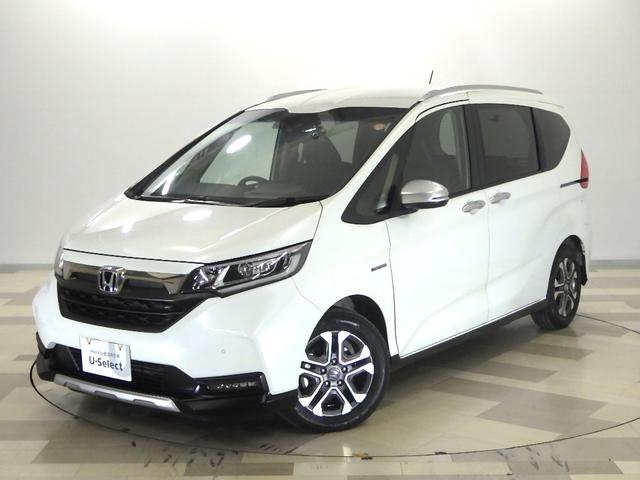 ե꡼ɡܥϥ֥å ϥ֥åɡۥ󥷥󥰡ӣңӡץʥ 0505163A30251031W003 1