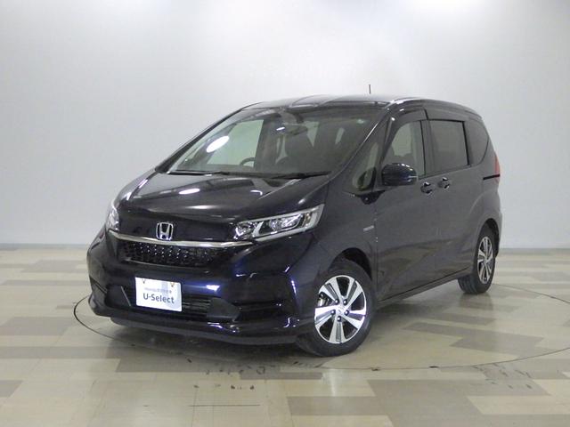 ե꡼ɥϥ֥å ϥ֥åɡǥۥ󥷥󥰡ĥ쥳ץʥ 0505163A30251031W004 1