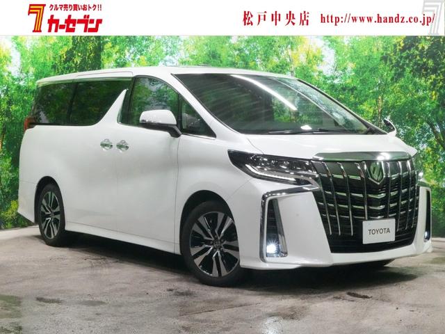 ȥ西 ե ӡåѥå֥륵롼աեåץ˥