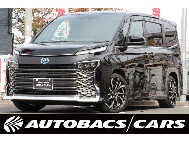 ȥ西  ϥ֥åɣӡݣڡԣţɣֹĴţģƣáҳף