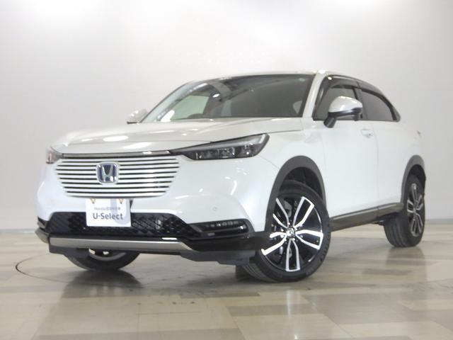  塧ȣţ֣ڡϥ֥åɼ֡ʥӡꥢ 0505560A30251031W001 1