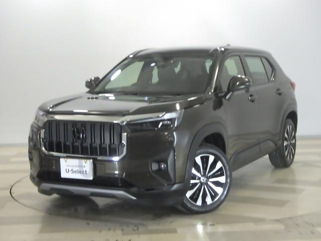 ףҡݣ ڡҥǥ⥫ʥӡꥢ 0505560A30251103W001 1