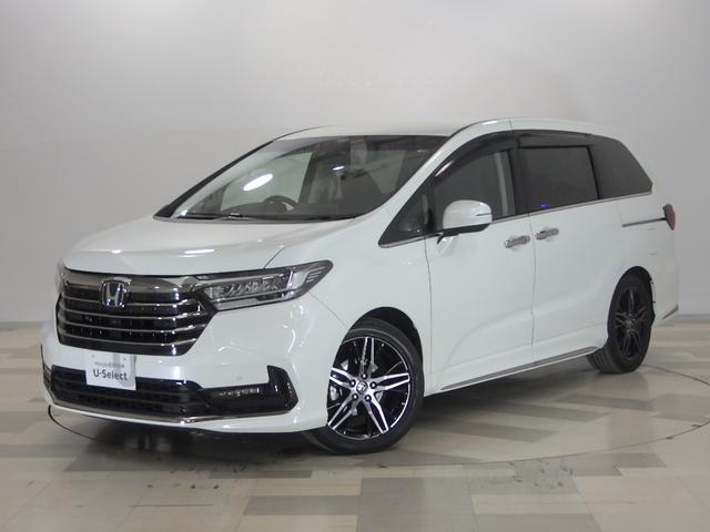 ۥ ǥå ֥롼ȡţءر֡ץʥۥ磻ȥѡ