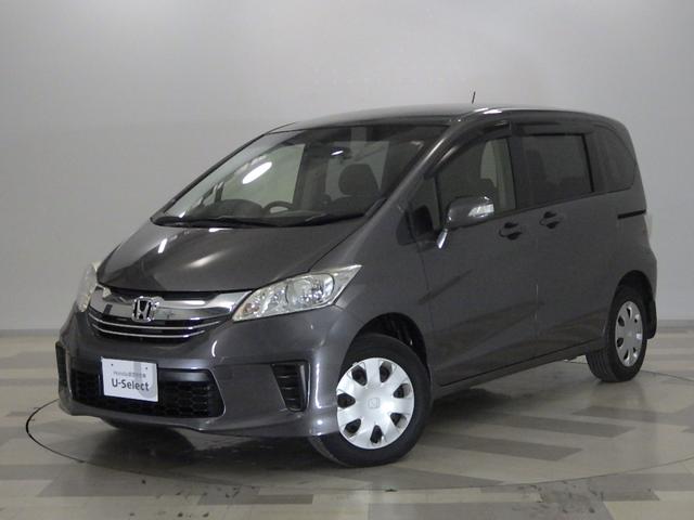 ۥ ե꡼ ǥץߥ२ǥ󡡶ر֡󥹥ƥ륰졼ף