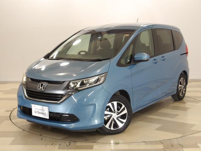 ۥ ե꡼ ǡۥ󥷥󥰡ر֥֡롼ۥ饤