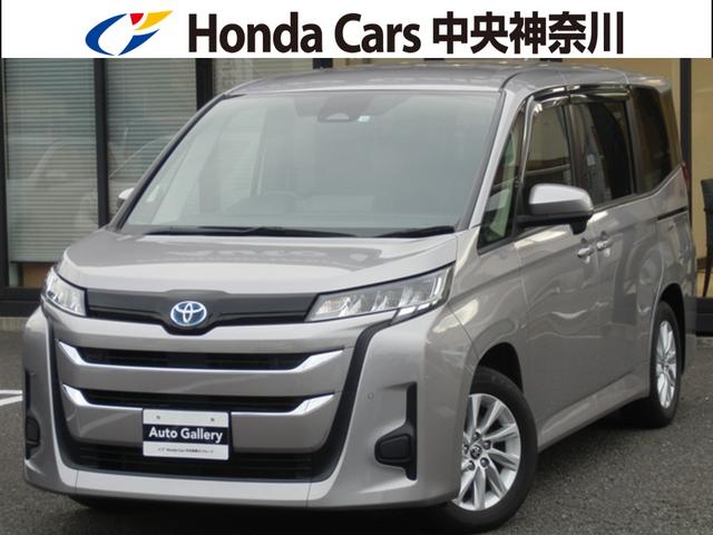 ȥ西 Υ ϥ֥åɣǡͷڸ֥졼롼ȥ롡ե륻սʥ