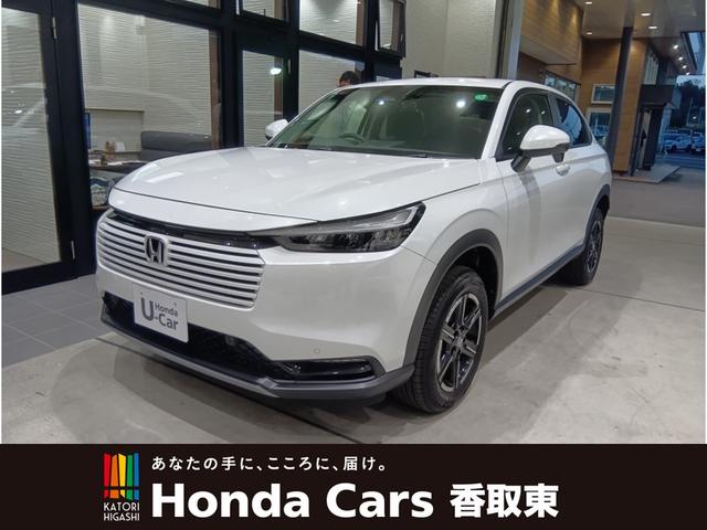 ۥ  ǡ󥿥Ͽžٱ絡ǽʥ