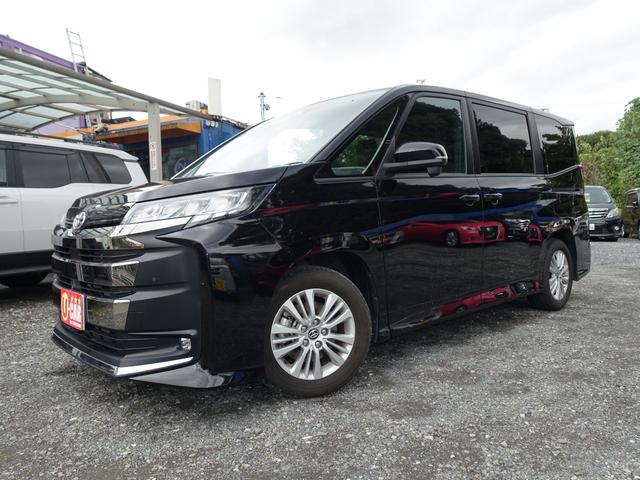 ȥ西 Υ ӡݣǡʥӡե륻ԣ֡Хå˥