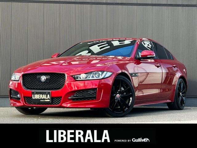 ѥΥޥ롼աϡե쥶ȡʥӣԣ Хå顡ͣţңɣģɣΡãáͷڸ¡ޡȥ 1