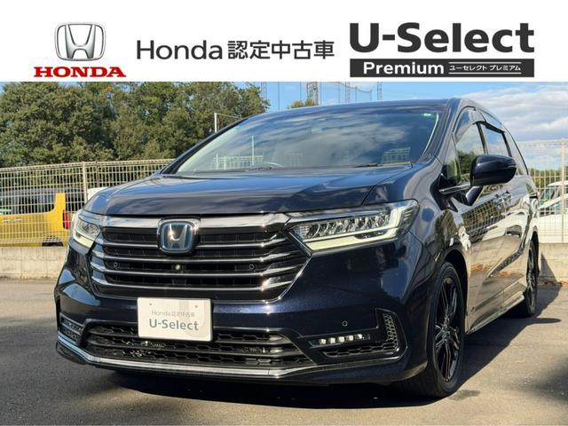 ǥåϥ֥å 塧ȣţ֥֥롼ȡţءر졡󥪡ʡ 0507223A30251031W001 1