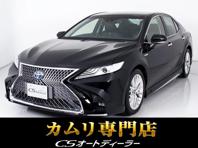 ֣ãǧ֡׻ǽĹǯ֣ݾڴ ȥŸͤ̿ؼξãӥȥǥ顼żŹ 1