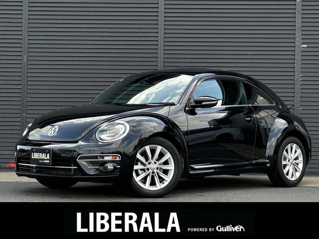 ե륯 ӡȥ ǥ󡡸ʥӡ