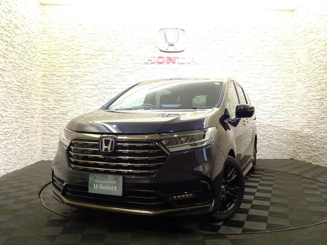 ۥ ǥåϥ֥å 塧ȣţ֥֥롼ȡţإ֥åǥ󡡸ǥ⥫ر