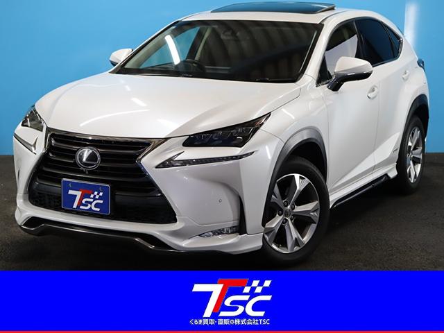ＮＸ３００ｈ　バージョンＬ　４ＷＤ／ムーンルーフ／モデリスタフルエアロ／全方位カメラ／ＨＵＤ／レーンディパーチャー／オートマチックハイビーム／プリクラッシュセーフティー／レーダークルーズコントロール／クリアランスソナー／ＥＴＣ