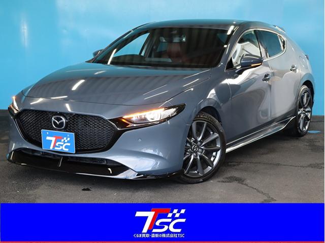 ޥĥ ͣڣģեȥХå أĥСǥ쥯󡡶ر֡ͥ㡼ե륨