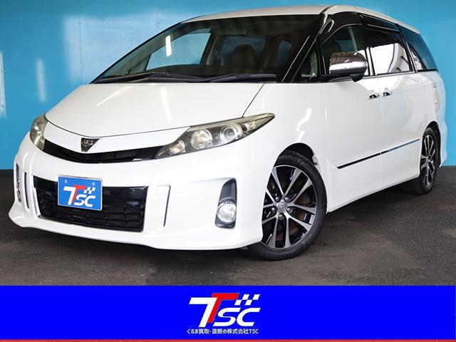 ȥ西 ƥ 饹ץߥ२ǥ󡡸ʥ˥