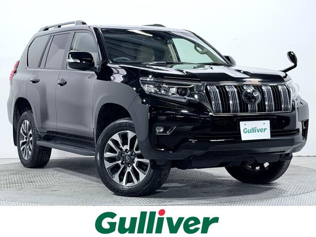 Ź˿͵Υץɤˤޤ͵ ͵ӣգ֡Υץɡǥץɤõʤ饬С塪 1